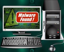 Malicious Software (Malware)